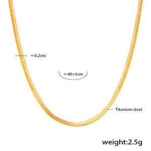 Double layer collarbone necklace, full view